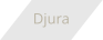 Djura